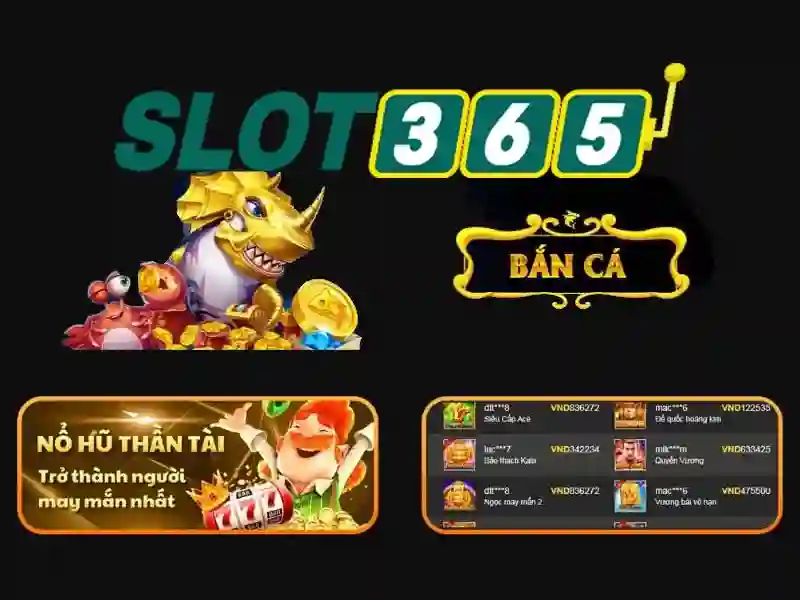 Sản phẩm và dịch vụ cốt lõi: Ứng dụng thực tế của slot365 đăng nhập