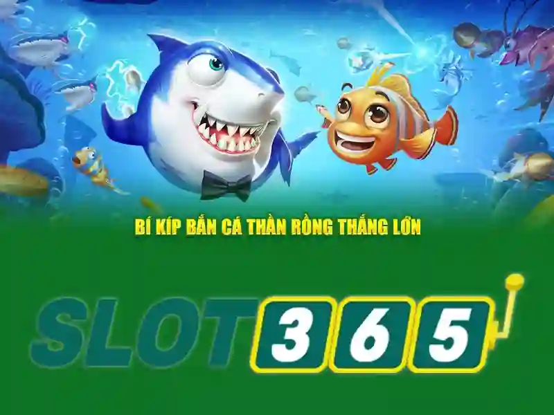 Hướng dẫn Slot365 – Tổng quan và giá trị cốt lõi