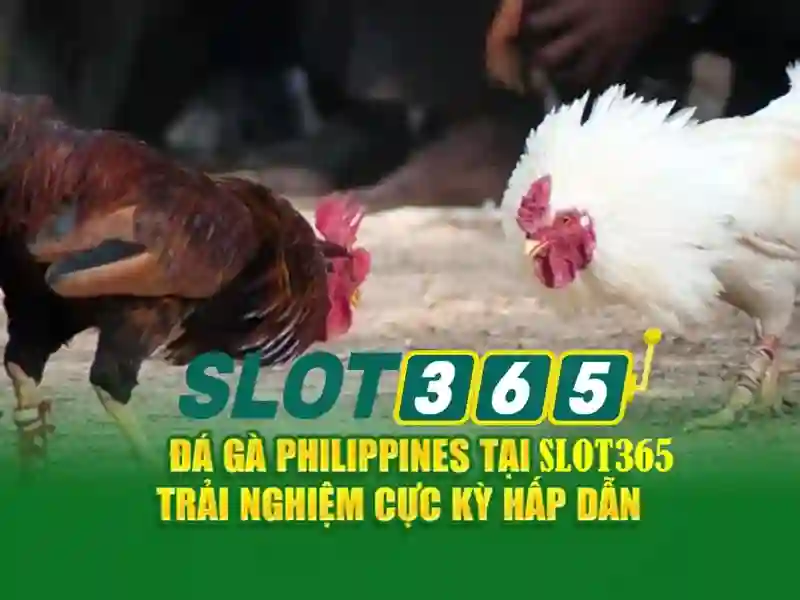Slot365 - Tổng quan về nền tảng máy xèng trực tuyến hàng đầu Giao diện nhà cái hoàn hảo