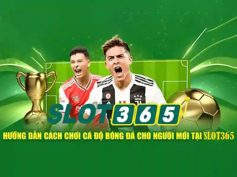 Ưu đãi và khuyến mãi
