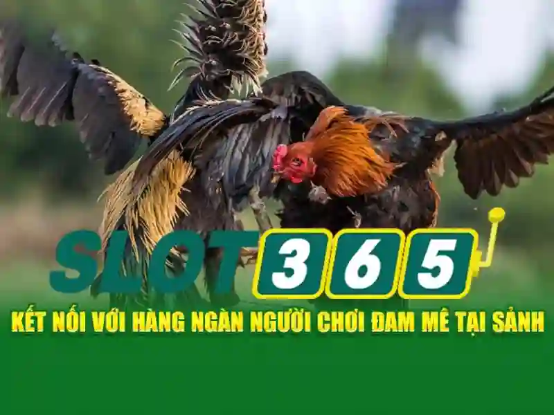 Hướng dẫn đăng ký và mẹo chơi