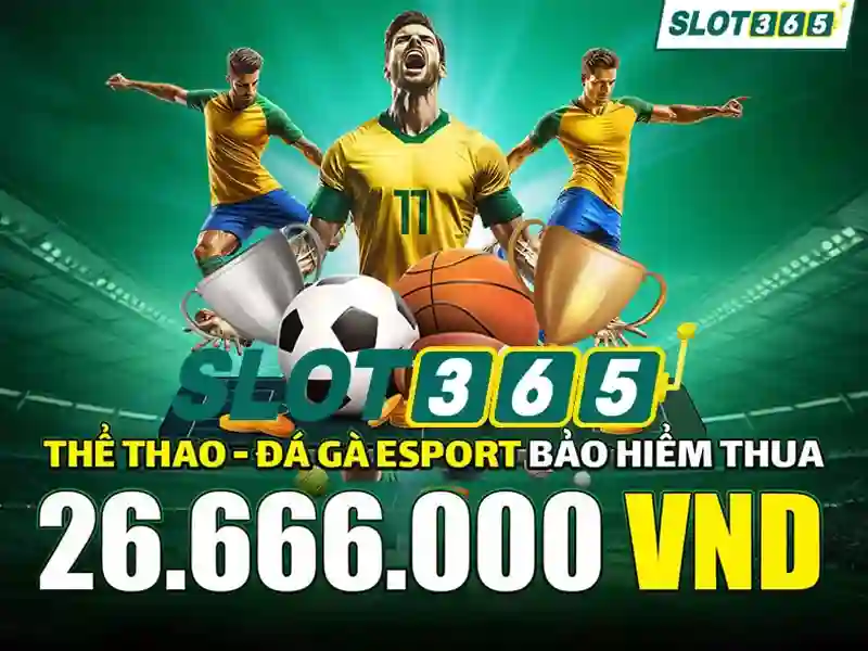 Trò chơi và chất lượng trải nghiệm
