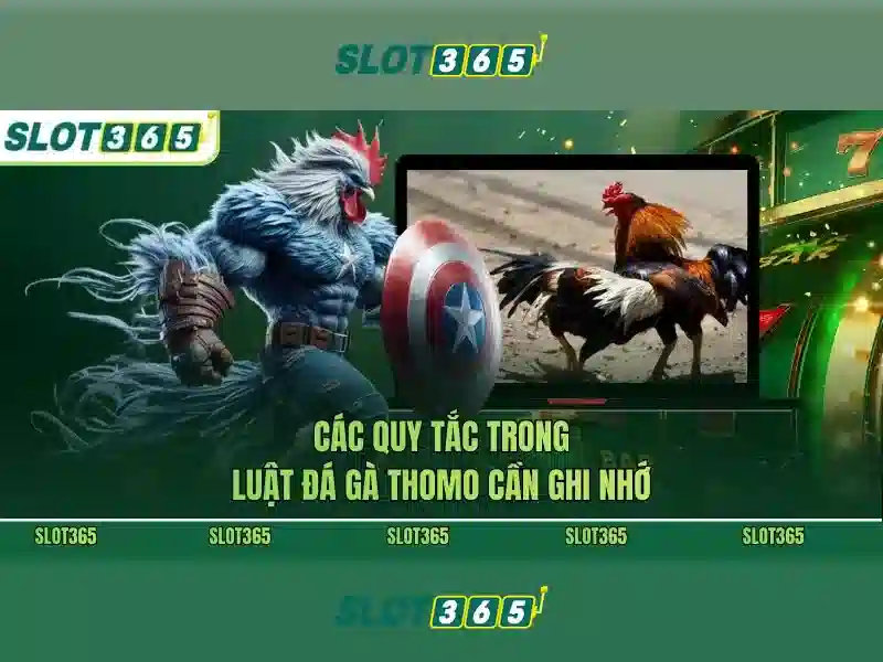 Giao diện nhà cái hoàn hảo