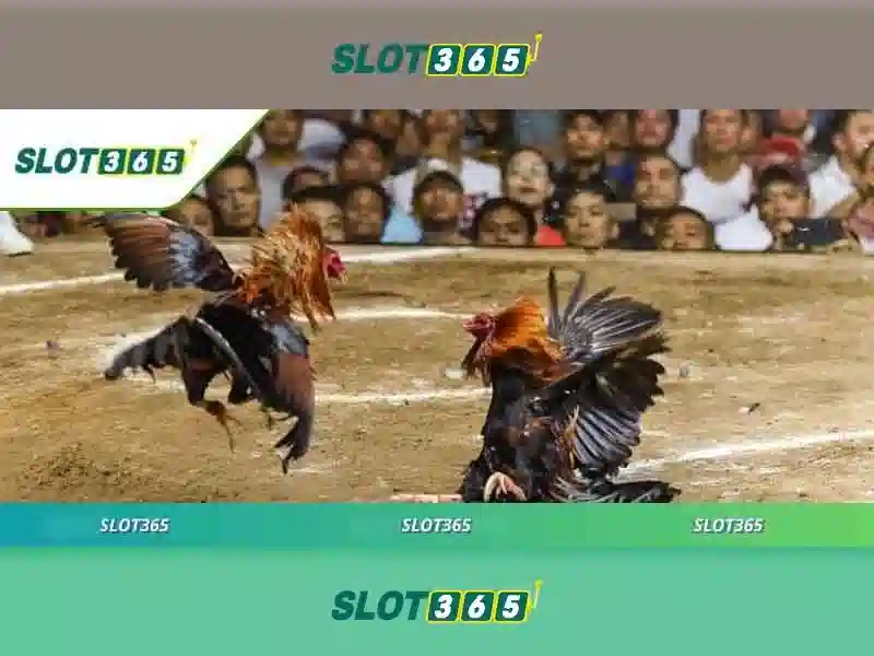 slot365. – Tổng quan chủ đề và giá trị cốt lõi