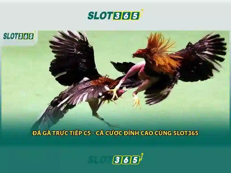 slot365 đăng nhập – Tổng quan chủ đề và giá trị cốt lõi