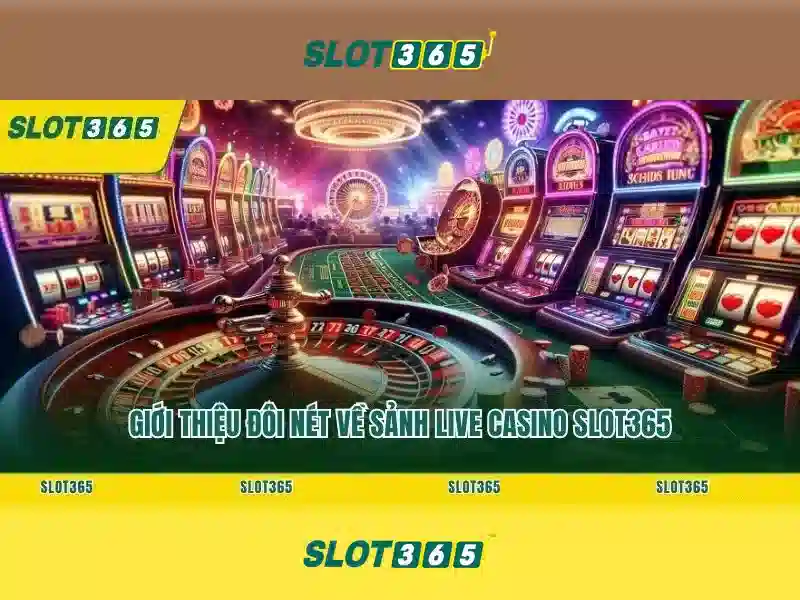 slot365 - trải nghiệm casino trực tuyến và trò chơi slot Giao diện nhà cái hoàn hảo