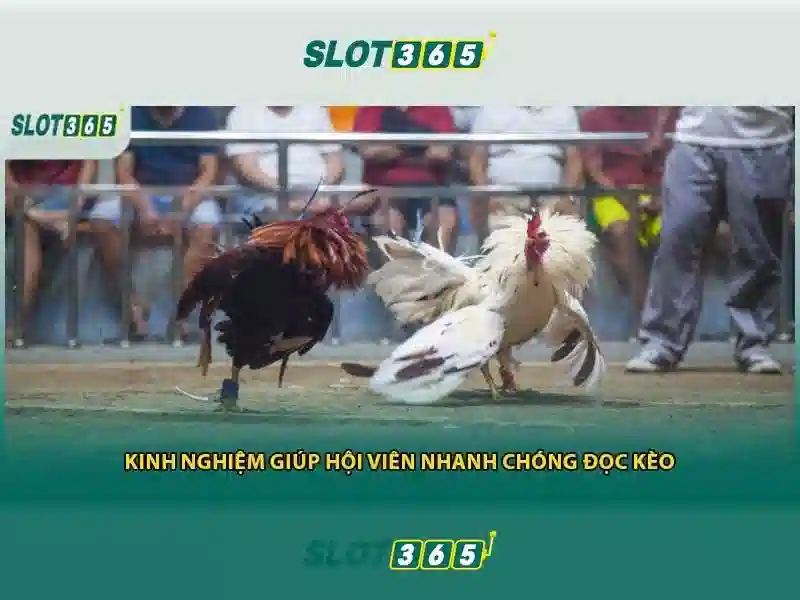 Tính năng nổi bật