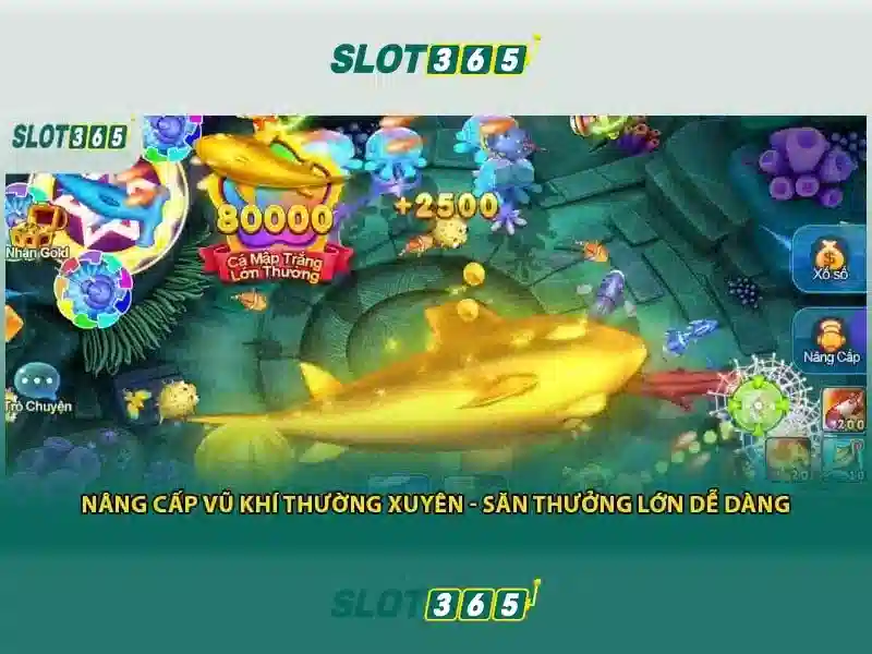 Giao diện nhà cái hoàn hảo