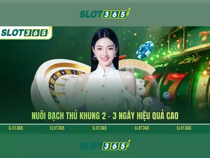 Slot365 - Giới thiệu