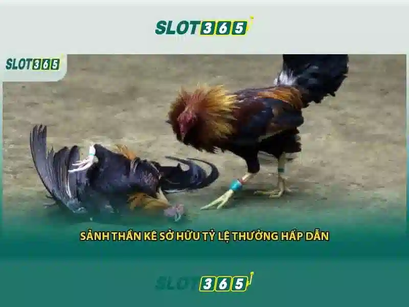 https t ly slot365 – Chu de tong quan va gia tri cot loi