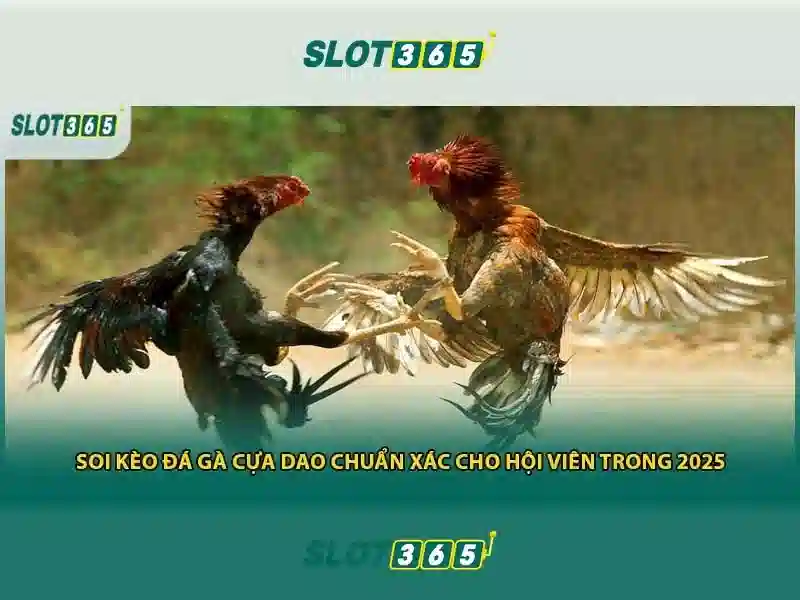 Slot365: Đánh giá và trải nghiệm trò chơi slots trực tuyến Giao diện nhà cái hoàn hảo