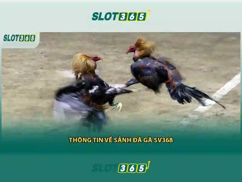 Trò chơi và tính năng nổi bật\n<h>An toàn và thanh toán</h>\n<p><span style=