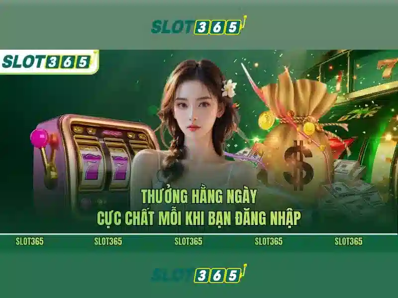 An toàn và cấp phép
