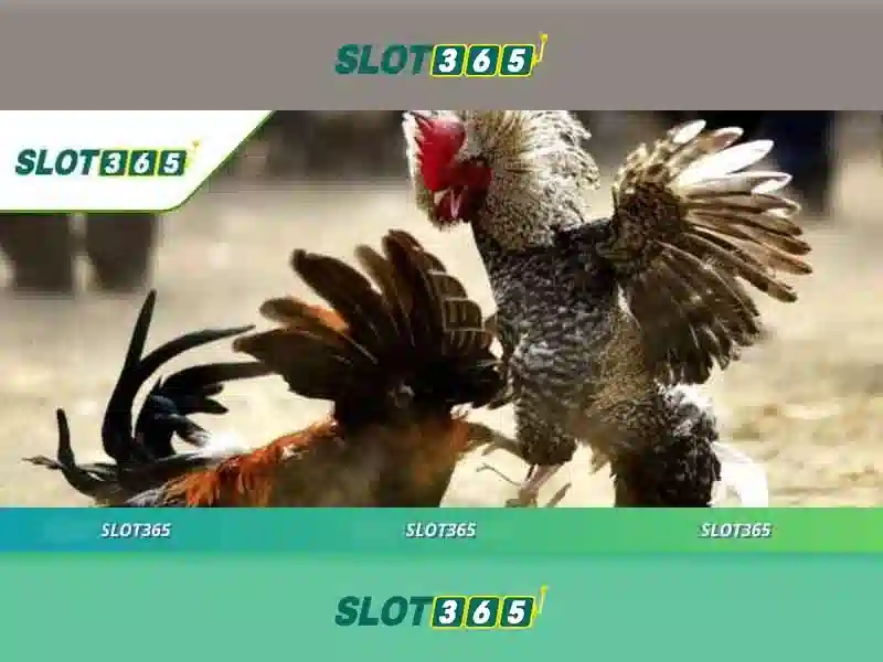 Slot365 app – Tổng quan và giá trị cốt lõi Slot365 app