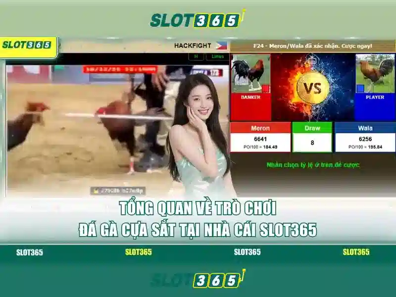 <!--IMG_PLACEHOLDER alt>An toàn và thanh toán-->