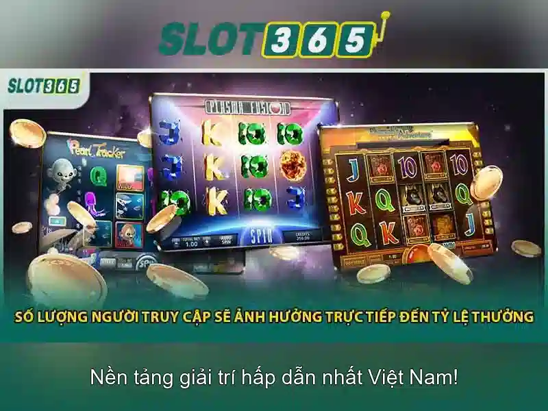 Nền tảng và trải nghiệm người dùng