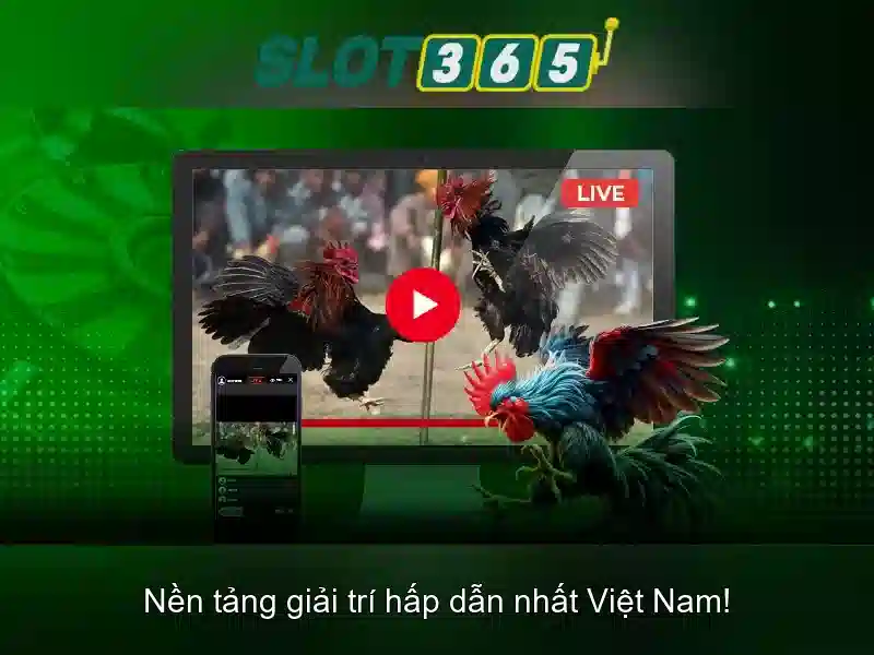 Trải nghiệm người dùng và thiết kế