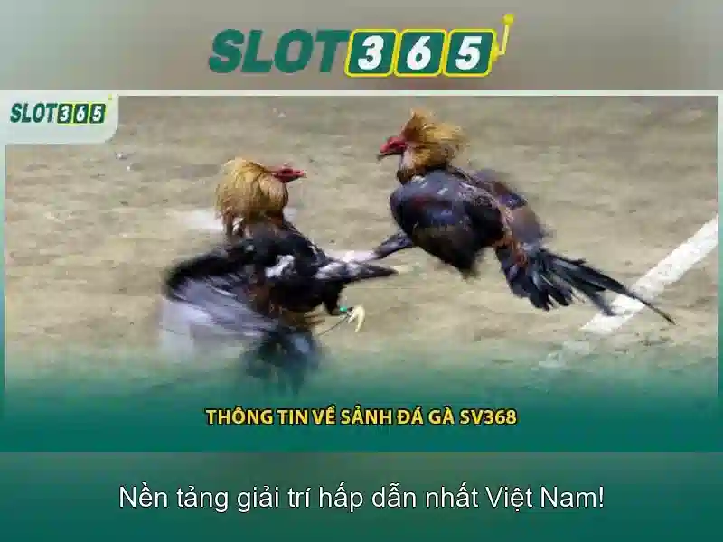 Tính năng nổi bật