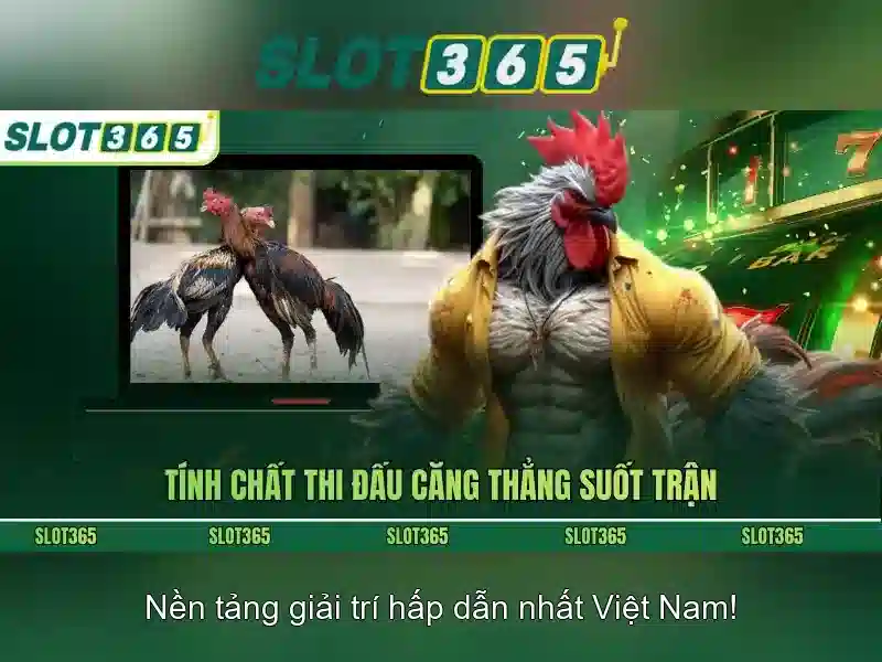 Khuyến mãi và chương trình thưởng hấp dẫn