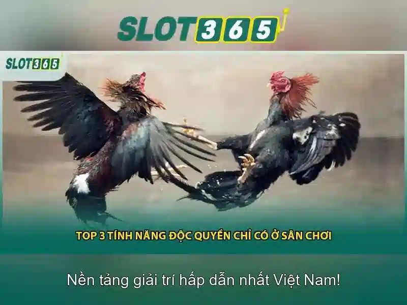 Tính năng nổi bật