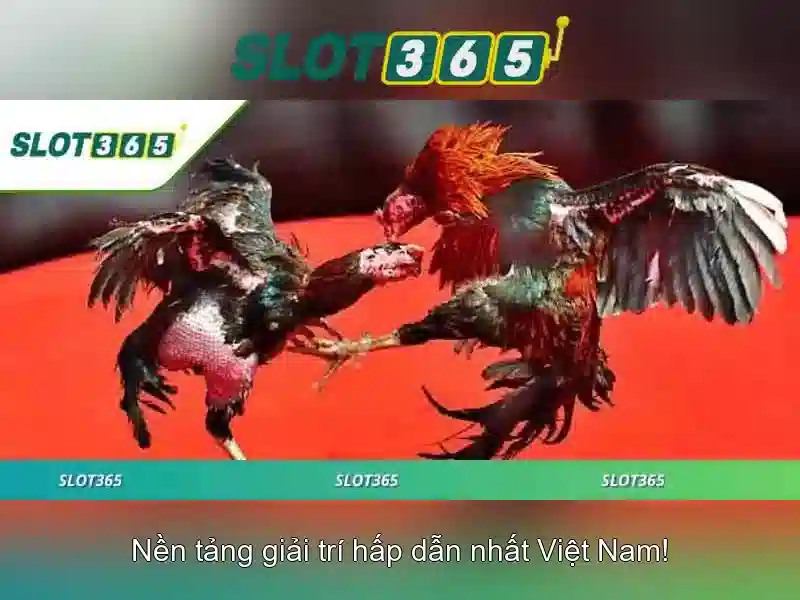 Uy tín và bảo mật của nền t platform\n<h>Khuyến mãi và chương trình thưởng</h>\n<p><span style=
