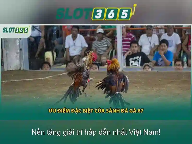 Slot365: Nền tảng slot trực tuyến hàng đầu cho người yêu trò chơi Giao diện nhà cái hoàn hảo