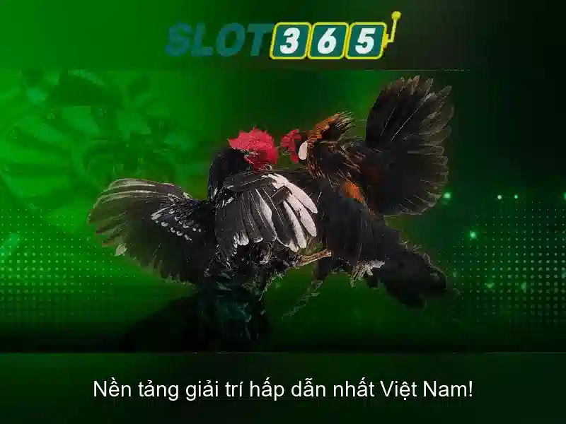Slot365: Khám phá nền tảng chơi slot trực tuyến Giao diện nhà cái hoàn hảo