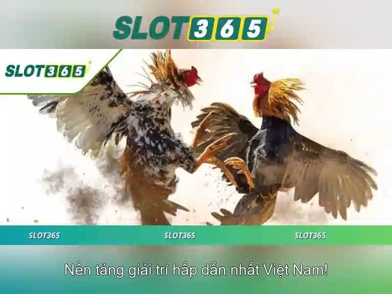 Trải nghiệm người chơi và tính năng