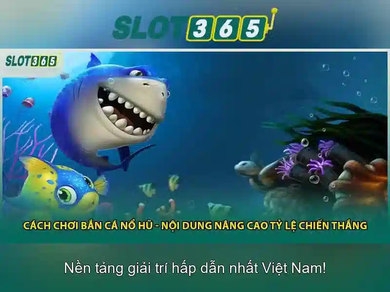 Các đặc điểm nổi bật