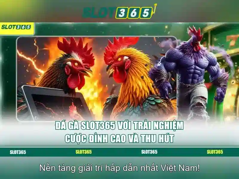 Slot365 – Trải nghiệm slot trực tuyến hàng đầu Giao diện nhà cái hoàn hảo