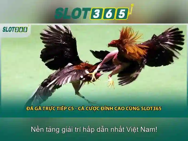 Đa dạng trò chơi slots và casino\n<h3>Khuyến mãi và chương trình thưởng</h3>\n<p><span style=