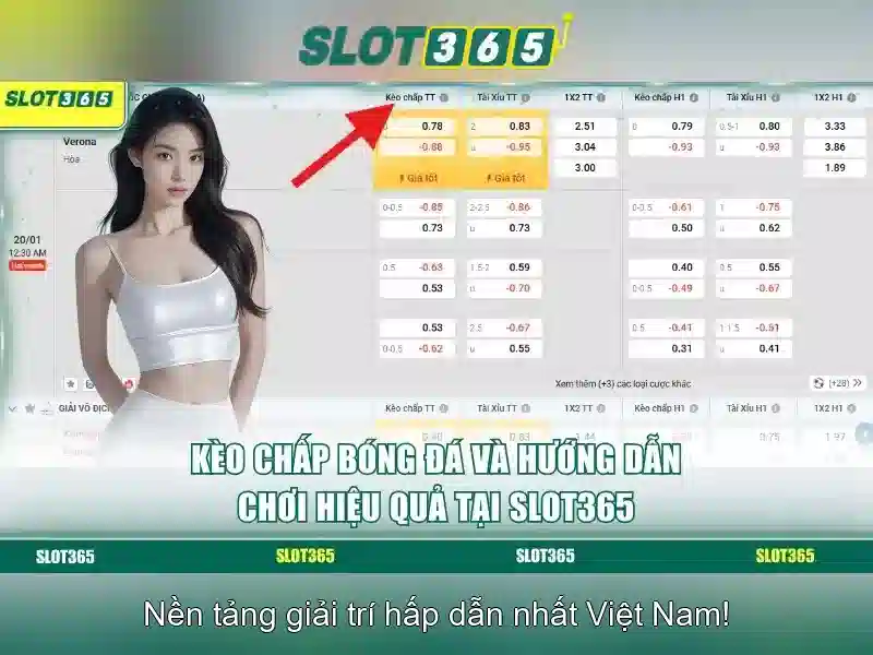 Hướng dẫn đăng ký và trải nghiệm người dùng