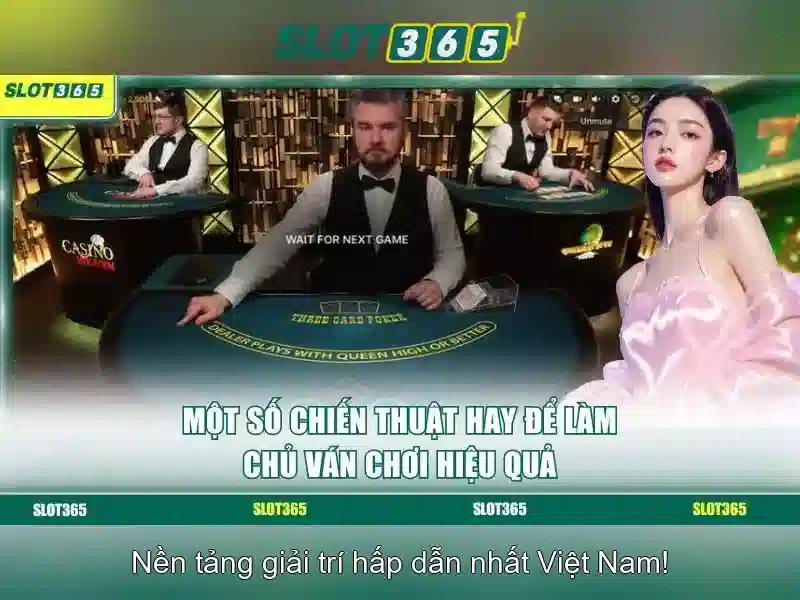 Hỗ trợ và dịch vụ khách hàng 24/7