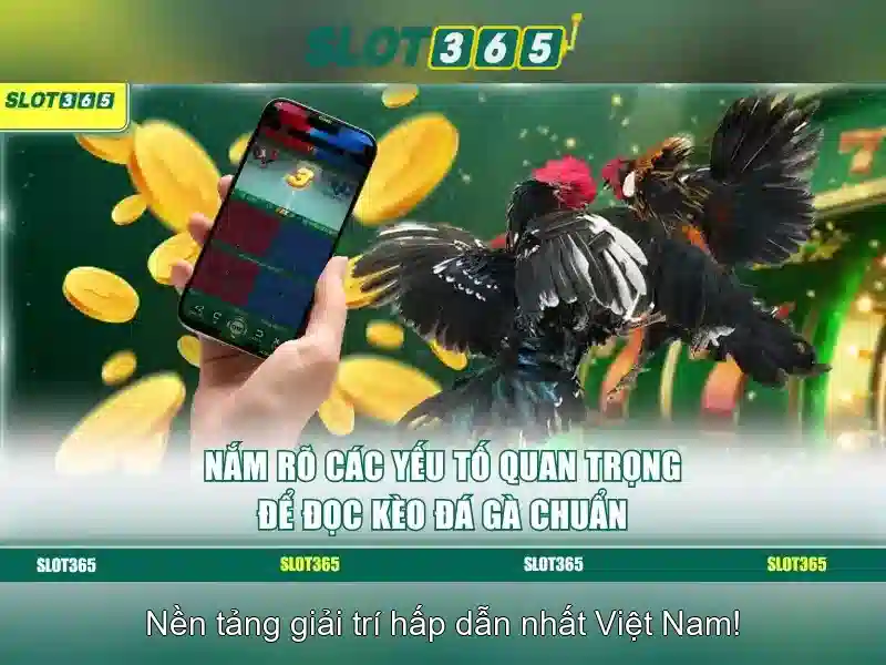 Tính năng và bảo mật\n<h>Khuyến mãi và thanh toán</h>\n<p><span style=