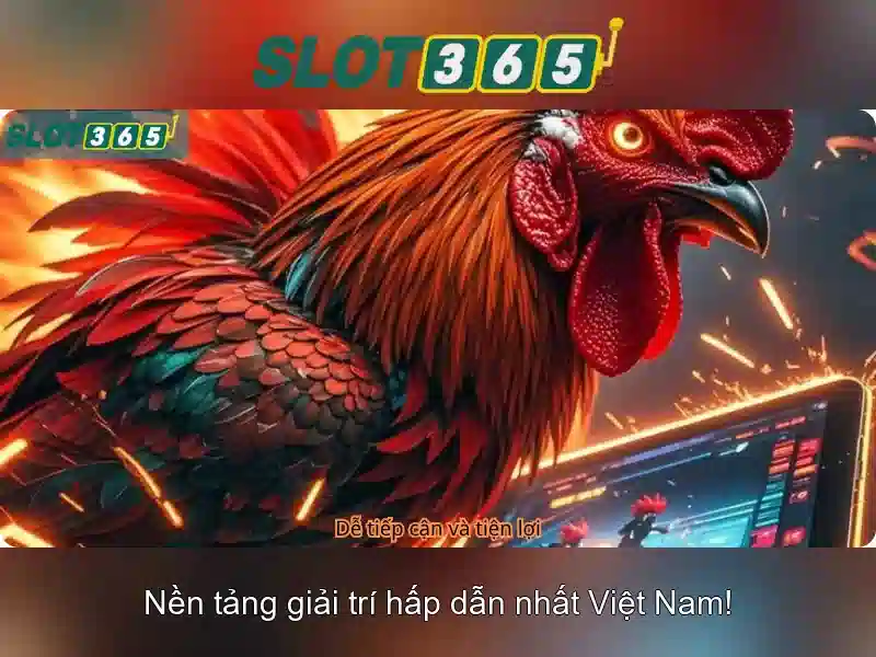 Cách Slot365 hoạt động