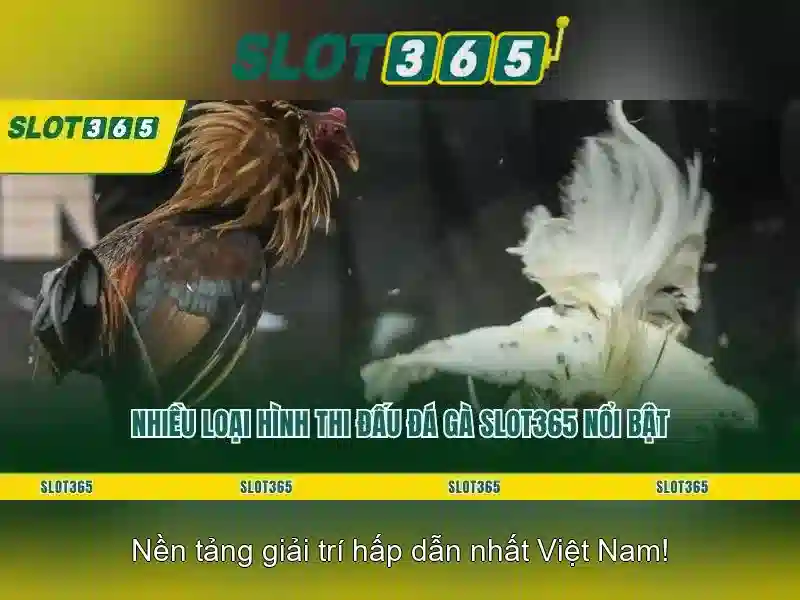 Slot365: Đánh giá nền tảng chơi máy đánh bạc trực tuyến Giao diện nhà cái hoàn hảo