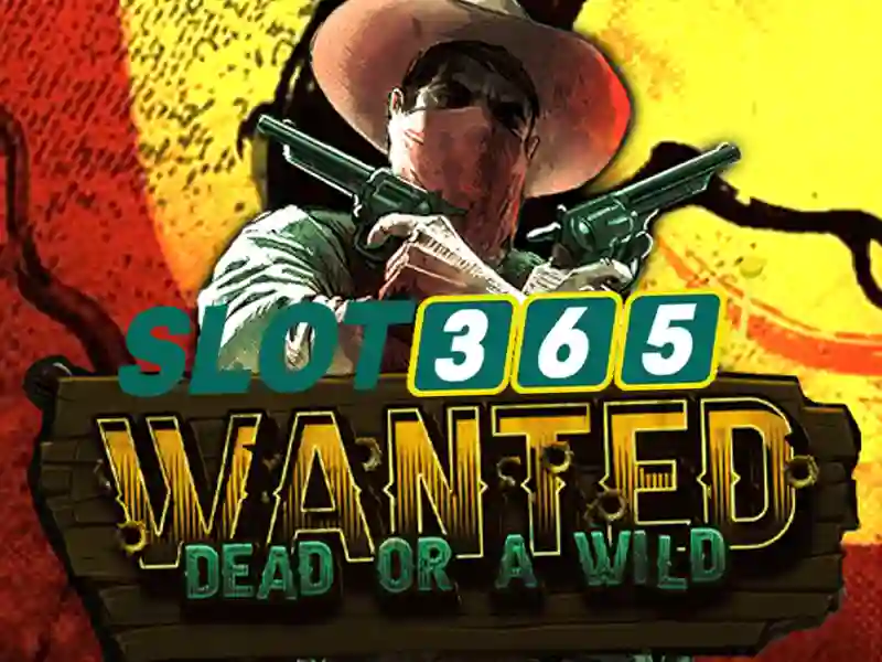 Slot365 chính thức – một cái nhìn tổng quan và tiềm năng