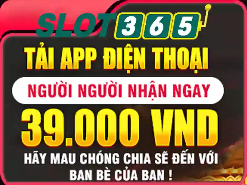 Trải nghiệm người dùng và giao diện
