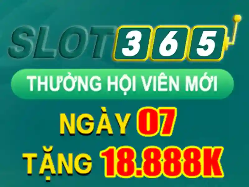 Giao diện người dùng và trải nghiệm di động