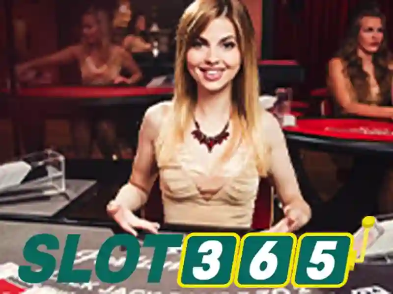 Khung cảnh slot365 casino