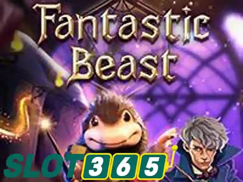 xn88 app – Sự khởi đầu của một nền tảng đọc giả sáng tạo