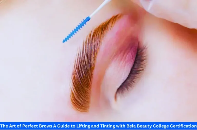 The Art of Perfect Brows A Guide to Lifting and Tinting with Bela Beauty College Certification